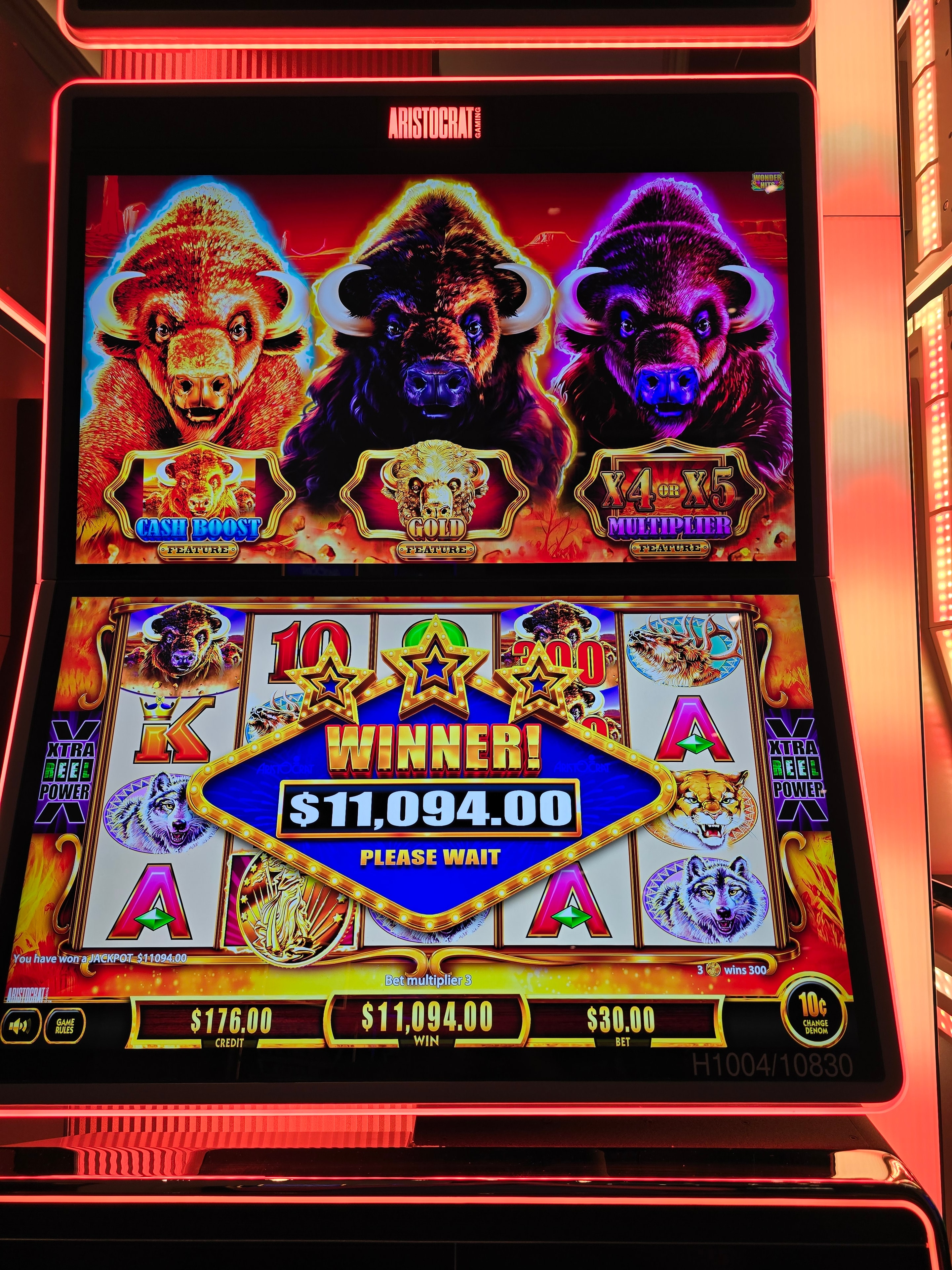 Bear slot machine winner screen showing $11,094.00