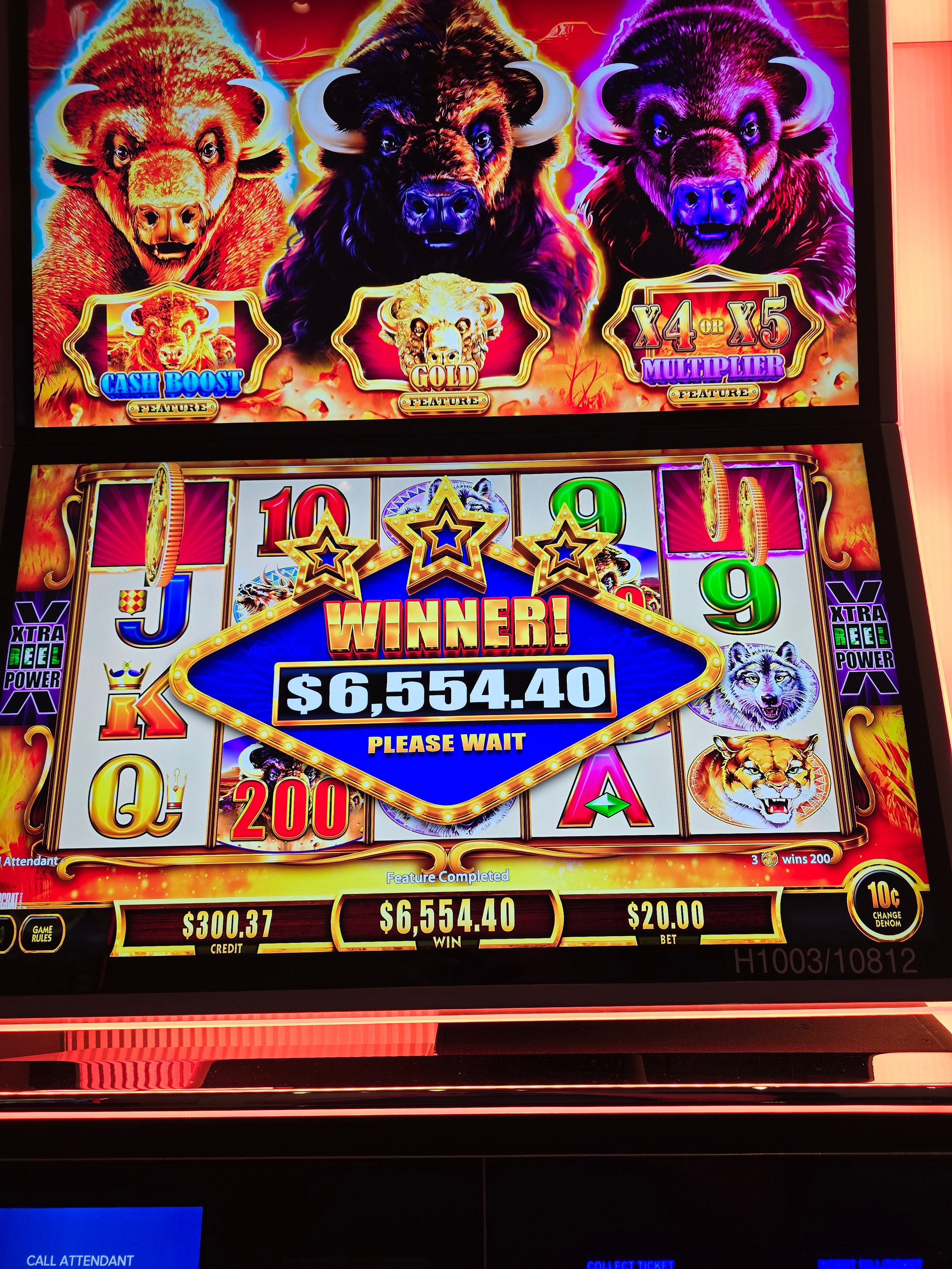 Bear slot machine winner screen showing $6,554.40